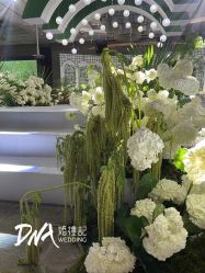 -DNA Wedding 婚礼记(上海店)
