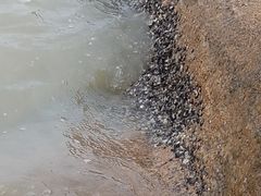 -浪琴湾度假村