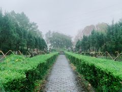 -邓愈墓