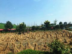 -洪湖家庭农场·团建·露营·会议