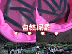 -重庆彩云湖湿地公园