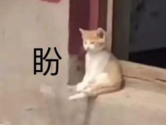 -眉州东坡(中日友好医院店)