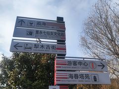 -东台西溪天仙缘景区