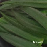 国庆期间除了吃还是吃大闸蟹吃起来给挑食的老二尝试了吃