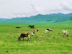 -新疆那拉提国家旅游度假区