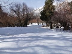 -新疆那拉提国家旅游度假区