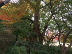 -上海兴国宾馆香樟园西餐厅