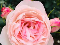 -人民公园(罗湖区)