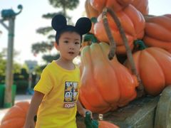 -大连海昌发现王国主题公园