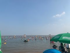 -碧海金沙