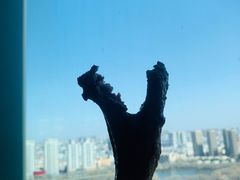 -君悦酒店·乐厨·高空自助餐(青年大街店)