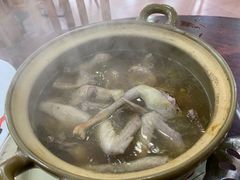 乳鸽汤-华仔土鸡店(创意产业园店)
