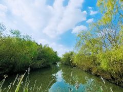 -长兴太湖图影湿地文化园