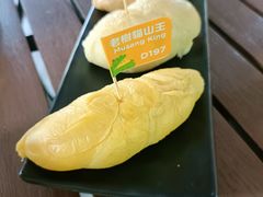 -榴莲BB 四季果园