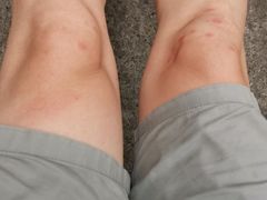 -如家旗下-成都蜀汉东路一品天下地铁站睿柏·云酒店