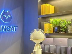 -梵猫·新养生(加州广场店)