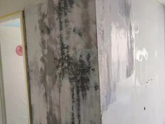 -多乐士焕新·装修·旧房翻新(N空间店)