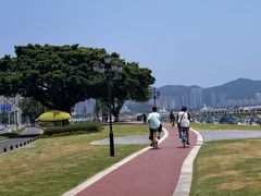 -野狸岛