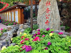 -太阳宫公园