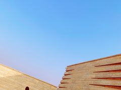 -盘龙城国家考古遗址公园