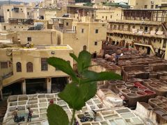 -穆莱拉赫制革厂