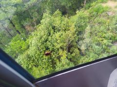 -苍山感通索道