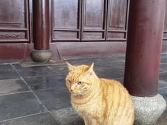 -西园戒幢律寺