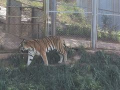 -青藏高原野生动物园