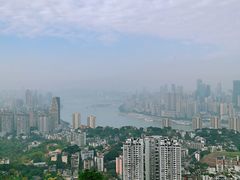 -南山植物园