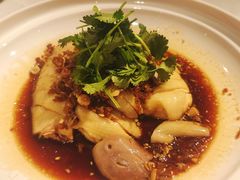 沙姜走地鸡-博多新记·粤菜(复兴店)