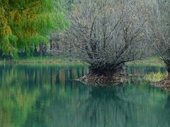 -贡湖湾湿地公园