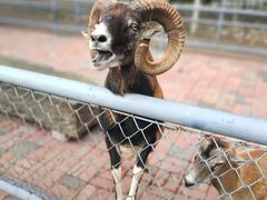 -长白岛森林公园