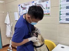 -北京观赏动物医院·24小时大型综合·猫专科·异宠专科