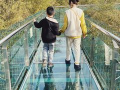 -陶祖圣境风景区