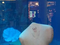 -迪拜水族馆及水下动物园