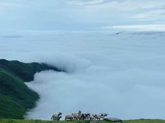 -硗碛藏寨·神木垒景区