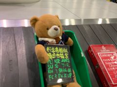 -上海浦东国际机场-T2航站楼
