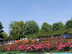 -武汉紫薇都市田园