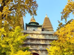 -北京石刻艺术博物馆(五塔寺)