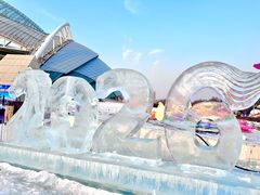 -沈阳奥体冰雪嘉年华