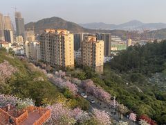 -小南山公园