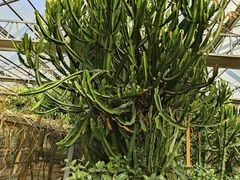 -陆地游轮吉林神农温泉