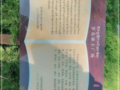 -罗布林卡