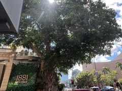 -海港城