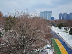 -南京眼步行桥