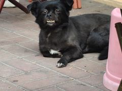 -王中王刨冰