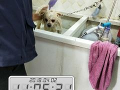 -惠宾花鸟宠物店