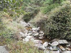 -苍山感通索道
