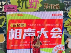 -金茂览秀城