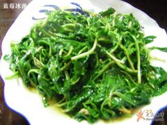 马兰头很好吃-唔呶喔哩酒家(生产街店)